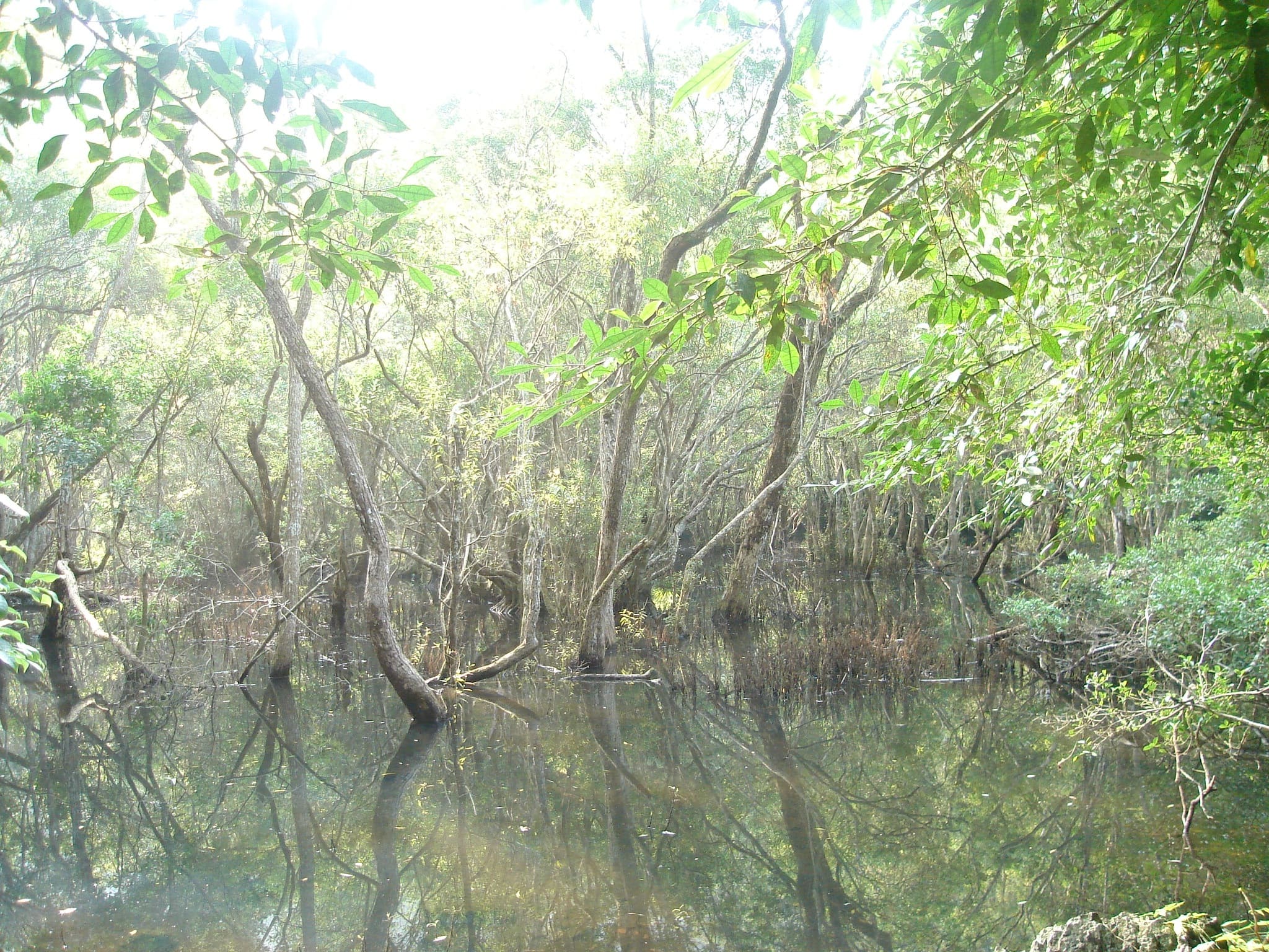 Frog Pond, Cat Ba National Park