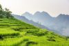 Pu Luong nature reserve in vietnam, agriculture, beautiful, countryside, dusk, trekking