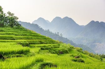 Pu Luong nature reserve in vietnam, agriculture, beautiful, countryside, dusk, trekking