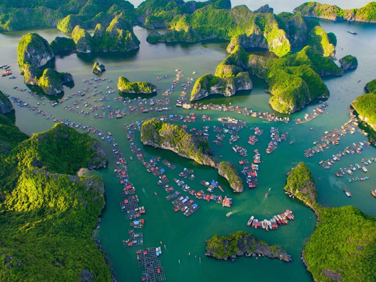 Viet Hai Village, Floating Fishing Villages and Rock Island, Lan Ha Bay, Cat Ba National Park